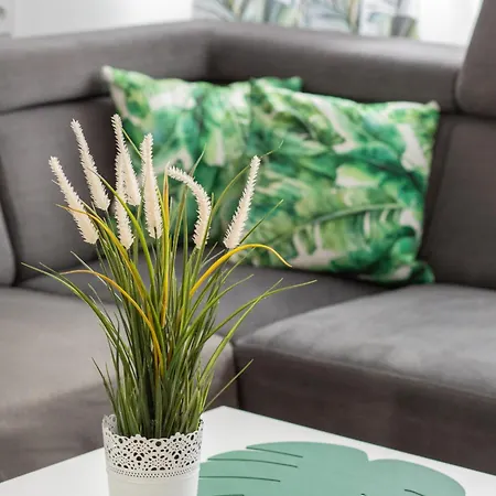 Wilaneska By Bookinghost Szczecin