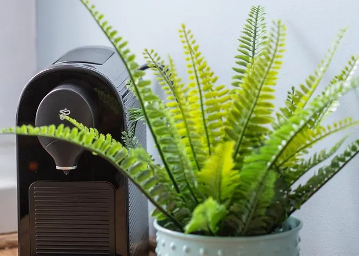 Wilaneska By Bookinghost 슈체친