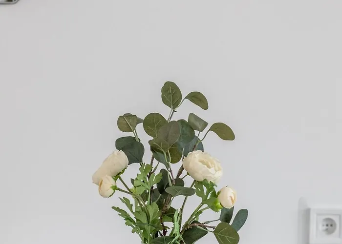 Wilaneska By Bookinghost 公寓