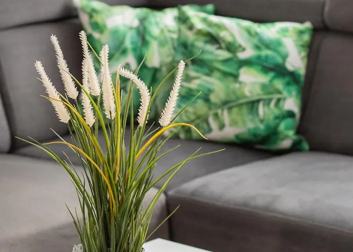 Wilaneska By Bookinghost 슈체친